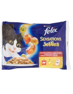 FELIX gato adulto...