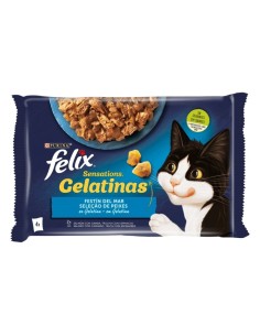 FELIX gato adulto...