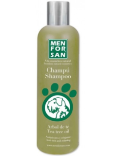 MEN FOR SAN champu arbol de...