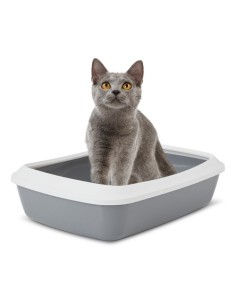 SAVIC gato bandeja con...