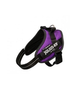 JULIUS K9 IDC purpura talla...