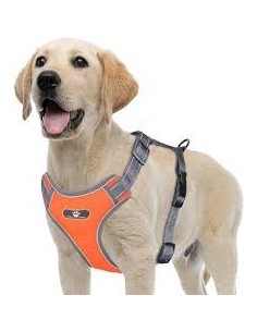 DUVO perro arnes con correa...