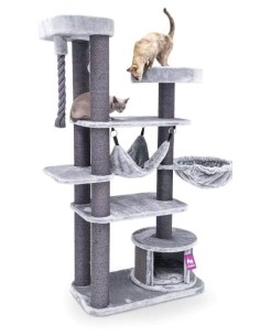 PET REBELS rascador Scenic... 2