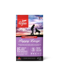 ORIJEN perro Puppy large...