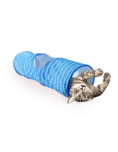 AFP gato tunel Modern azul...