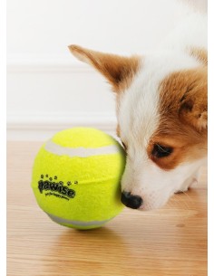 PAWISE perro juguete pelota... 2