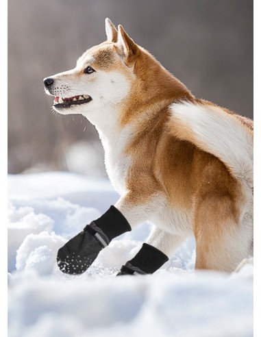 PAWISE perro zapatos proteccion L