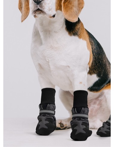 PAWISE perro zapatos proteccion M