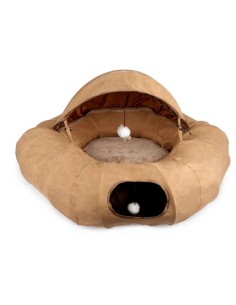 AFP gato donut y tunel marron