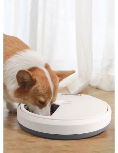 PAWISE perro comedero my slow feeding...