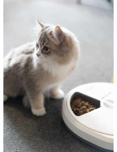 PAWISE perro comedero my slow feeding...