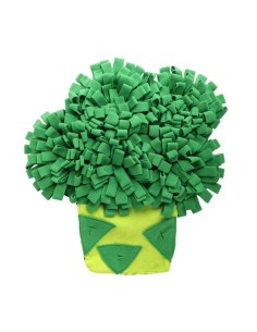 AFP perro esterilla...