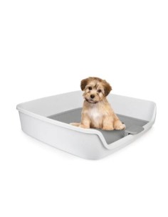 AFP perro base empapadora...