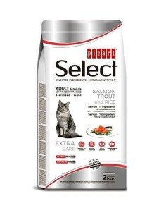 SELECT gato adulto...