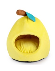 AFP gato cueva Kitty cave...