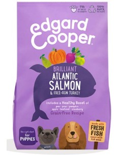 EDGARD&COOPER perro puppy...