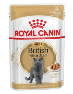 ROYAL CANIN gato adulto...