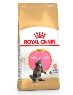 ROYAL CANIN gato kitten...