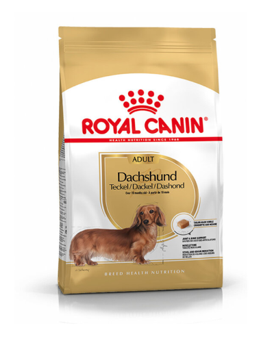 ROYAL CANIN perro adulto Teckel 1.5 kg