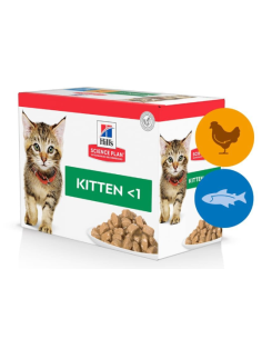 HILLS SP gato kitten...