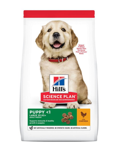 HILLS SP perro puppy large pollo 14.5 kg