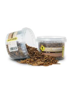 ORYCS roedor snack gusanos...