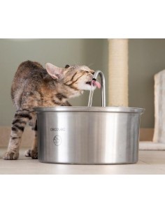 CECOTEC fuente automatica...