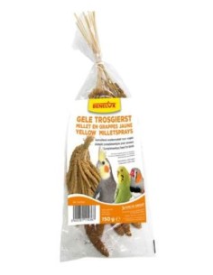 BENELUX aves mijo francés...