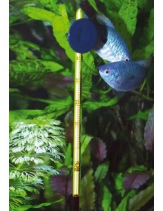 JBL termometro premium