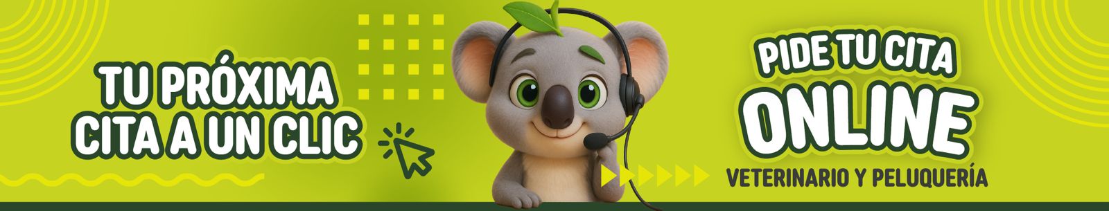 cabecera cita online