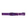 FREEDOG perro collar basic lila 25 mm