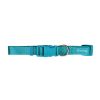 FREEDOG perro collar basic turquesa 25 mm