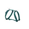 FREEDOG perro arnes basic verde 15-30 cm