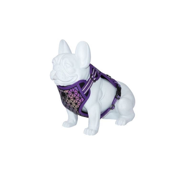 FREEDOG perro arnes lila