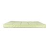 FREEDOG colchon Glacial verde claro 91x58x5 cm