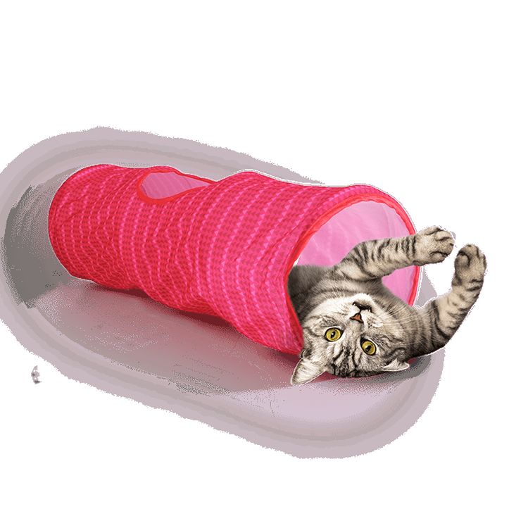 AFP gato tunel Modern Cat rosa 25x25x70 cm