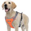 DUVO perro arnes con correa reflectante 120x45-55 cm