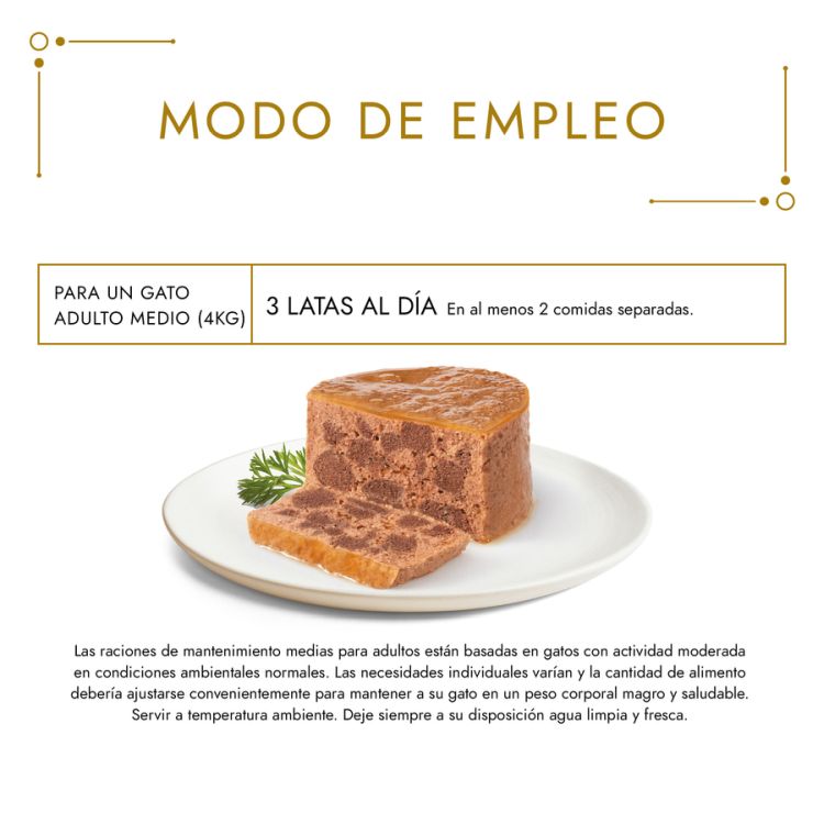 GOURMET gato Gold terrine 85 gr