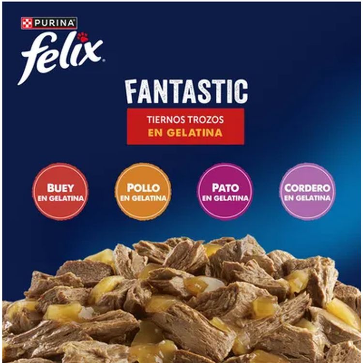 FELIX gato adulto Fantastic gelatina mix 44x85 gr