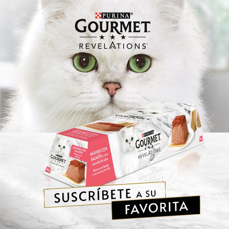GOURMET gato Revelations mousse salmon 4x57 gr