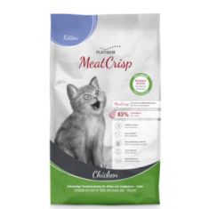 PLATINUM gato kitten pollo