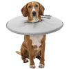 TRIXIE collar veterinario gris S 30-34 cm