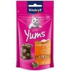 VITAKRAFT gato snack Yums pollo hierba 40 gr