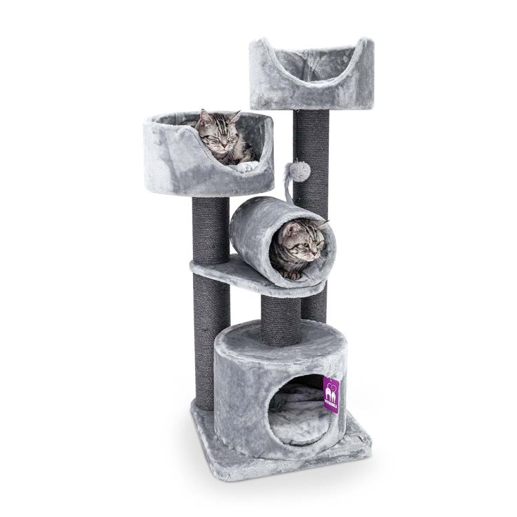 PET REBELS rascador Victoria 125cm