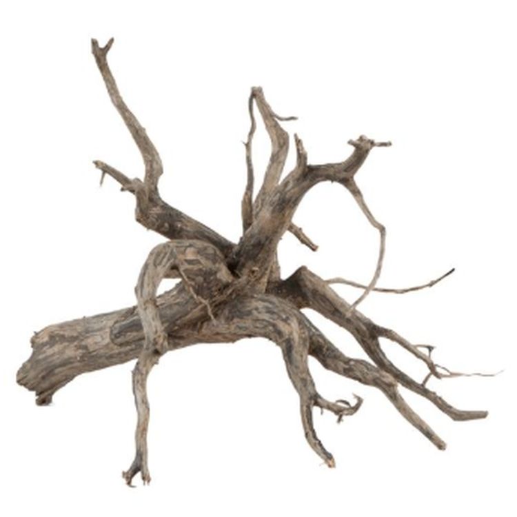 SERA raíz Scaper XS 18-20 cm