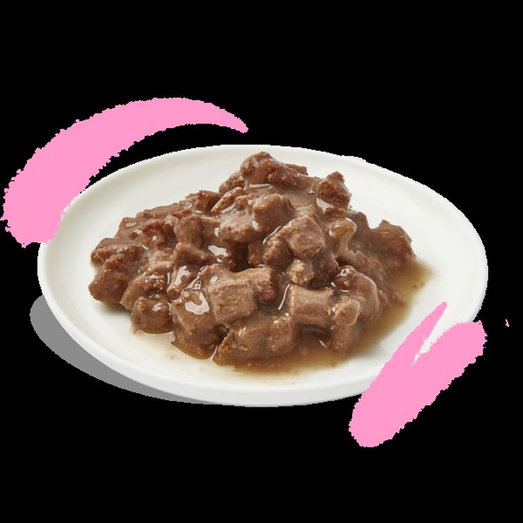 EDGAR&COOPER gato kitten wet trocitos pato y pollo lata 85gr