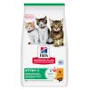 HILLS SP gato kitten pollo 3 kg