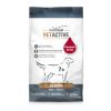 PLATINUM perro Vetactive senior 5 kg