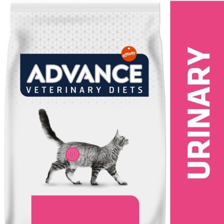 ADVANCE gato adulto dieta urinary