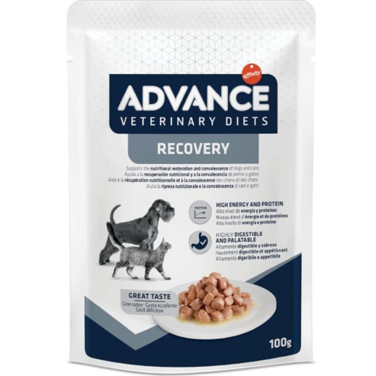 ADVANCE perro y gato dieta recovery pouch 100 gr